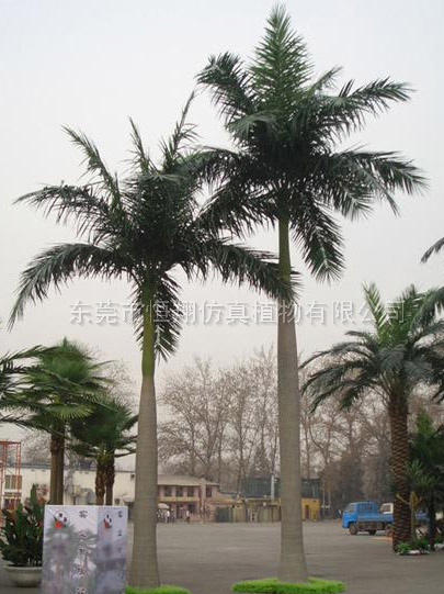 仿真椰子树的搭配种类设计