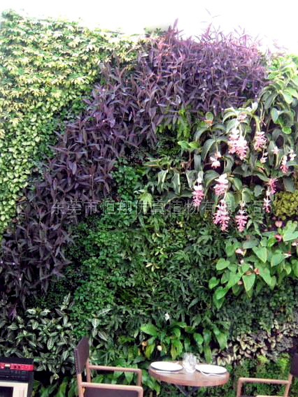 社会上的垂直绿色仿真植物墙的发展日渐成熟