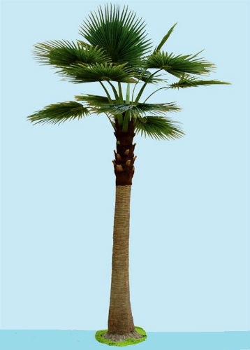 天然保鲜棕榈树制作工艺流程与需求