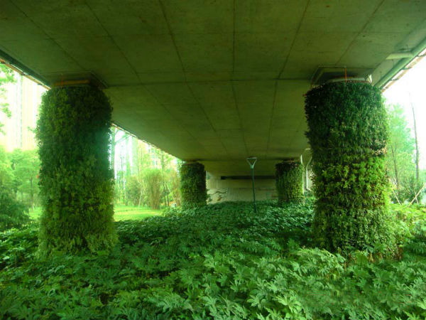 绿色植物墙的美化与功能作用