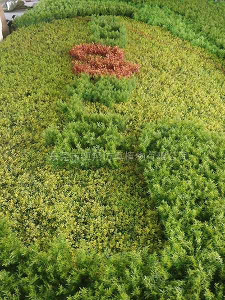 仿真植物墙逐渐成为生活中不可少的造型