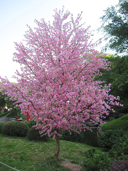 仿真桃花树