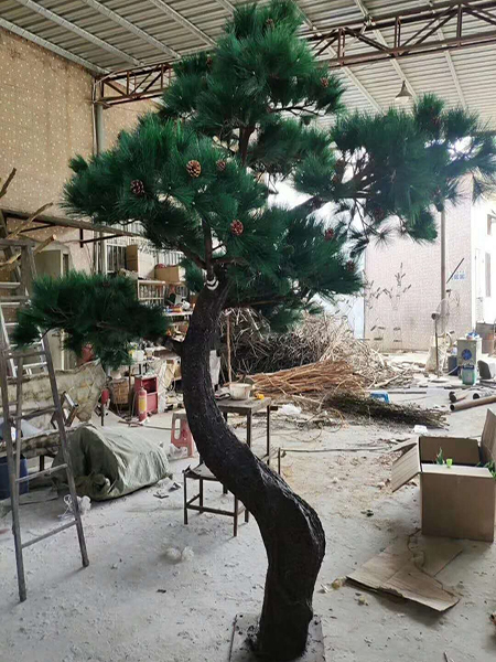 3米高造型松树