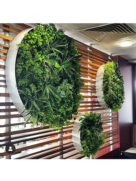 带金属框圆形植物墙