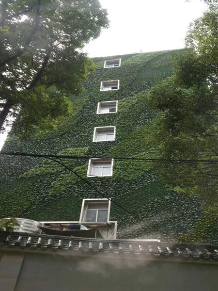 外墙垂直绿化
