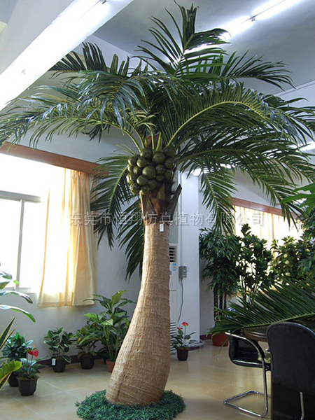 HX8025-4米大肚仿真椰子树